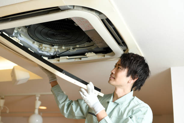 Best Ductwork Cleaning Services  in Ol, LA