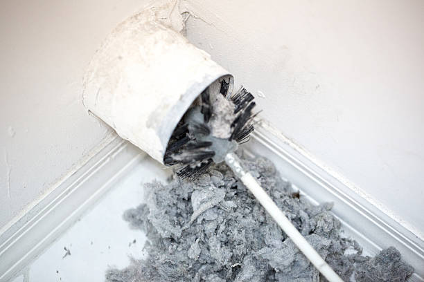 Best Local Air Duct Cleaning Services  in Ol, LA